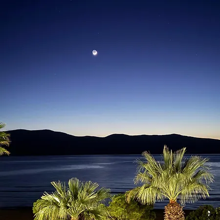 Alcazar Luxury Nocleg ze śniadaniem 3*