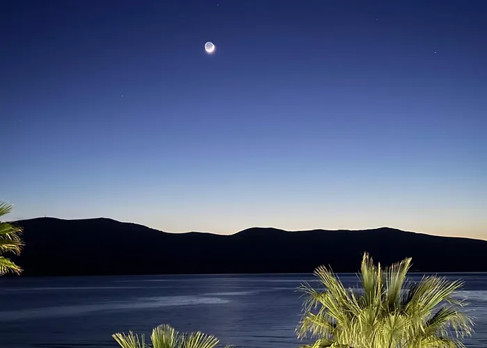 Alcazar Luxury فندق مبيت وإفطار 3*